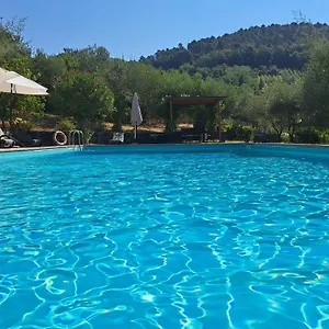  Bauernhof Agriturismo Poggio All'olmo